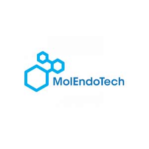 Molendotech Ltd